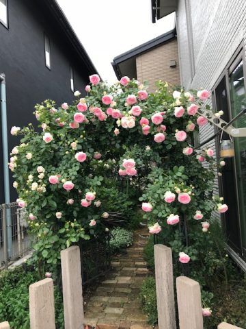 庭造り