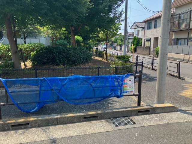現地調査