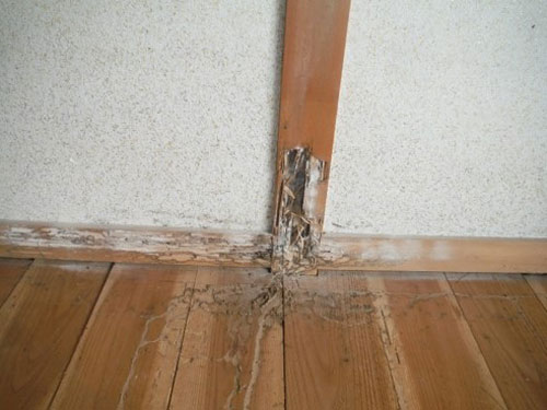 危険性について